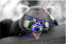 Figure 21