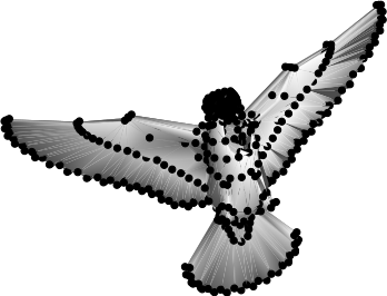 Figure 39