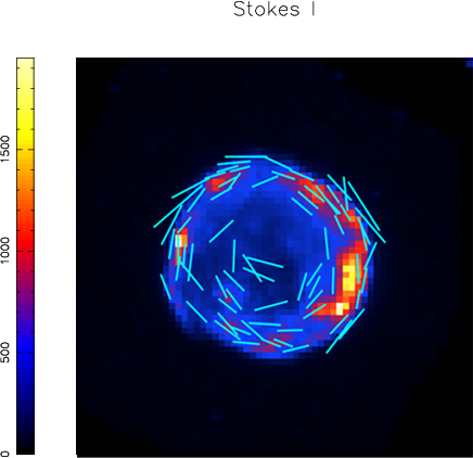 Figure 29