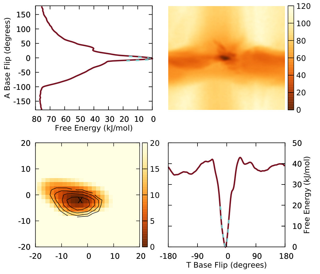 Figure 21