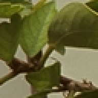 Figure 8