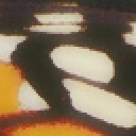 Figure 28