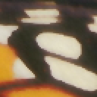 Figure 36