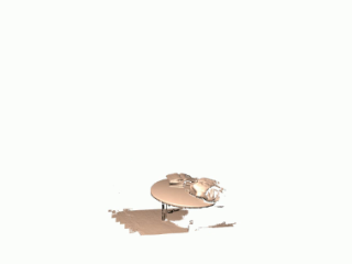 Figure 21