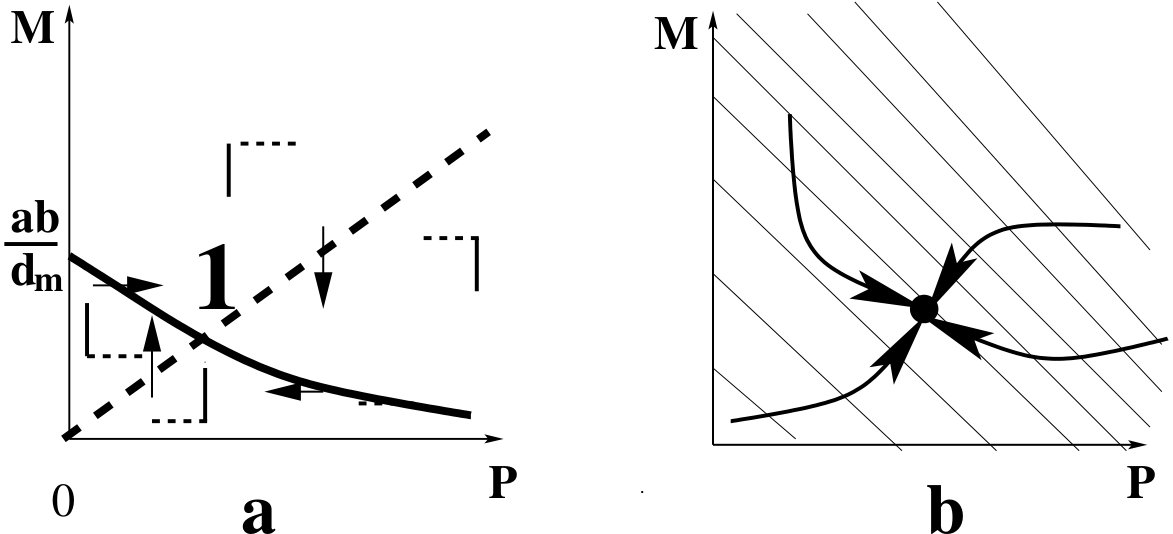 Figure 37