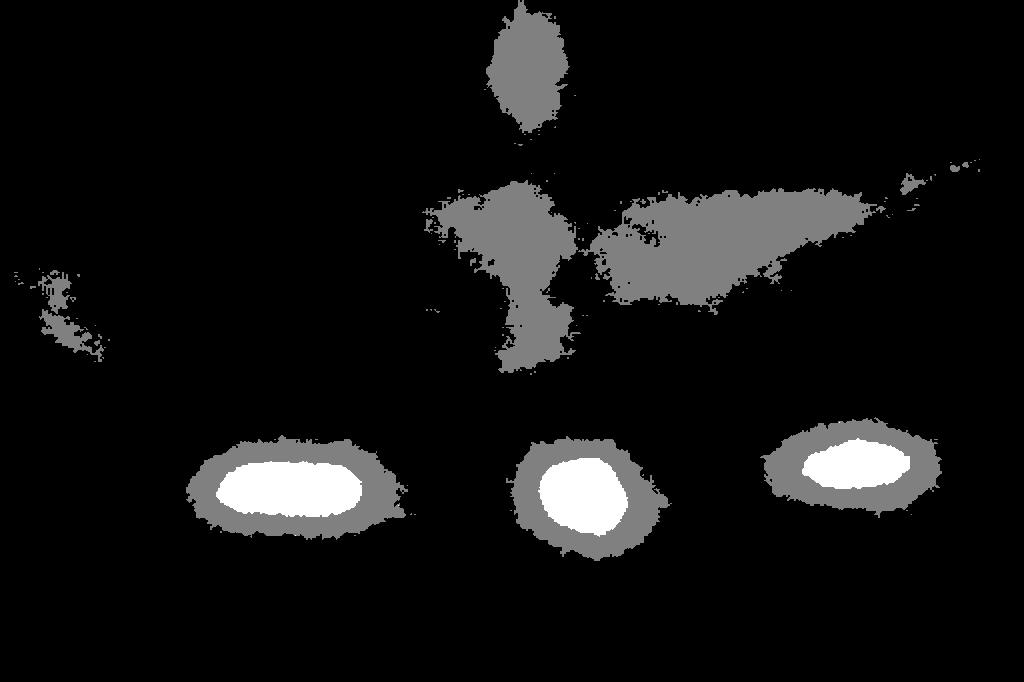 Figure 29