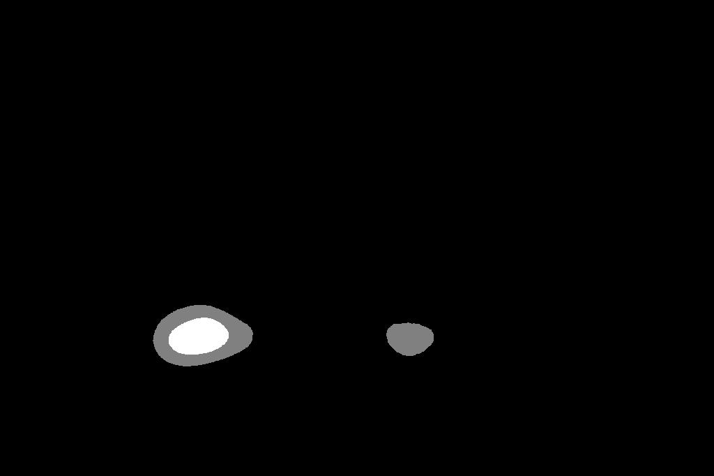 Figure 30