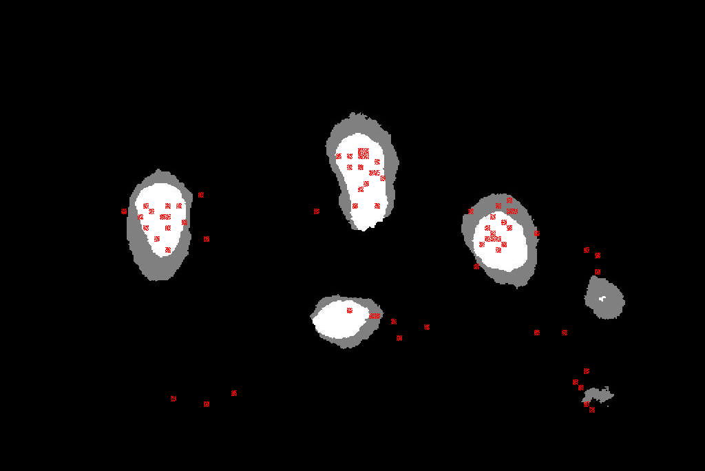 Figure 34