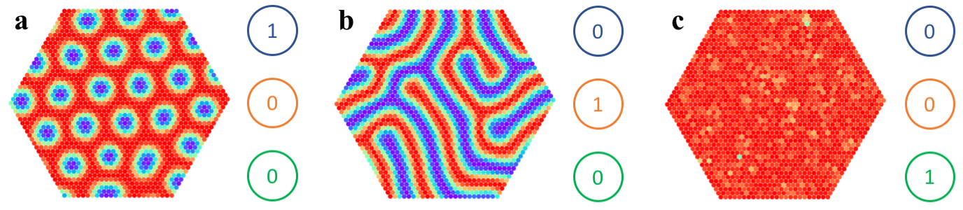 Figure 8
