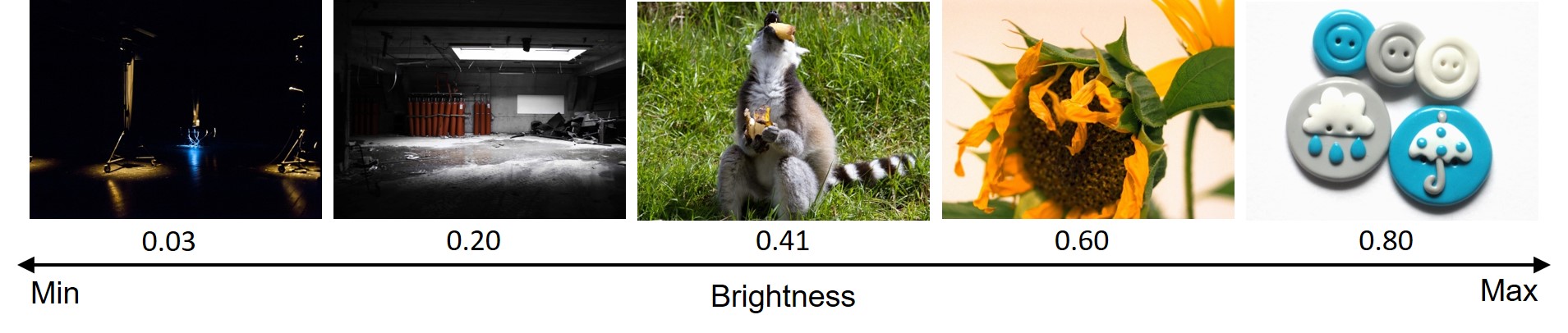Figure 7