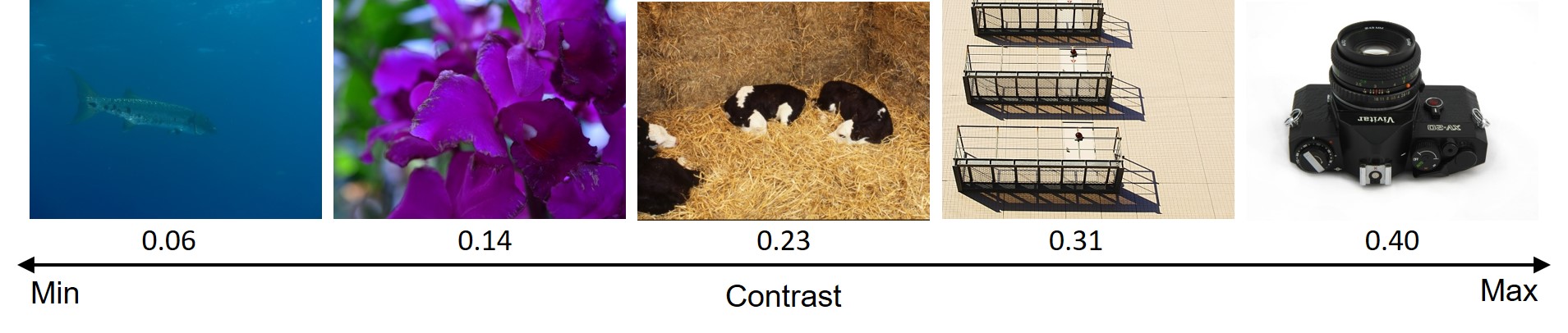 Figure 20