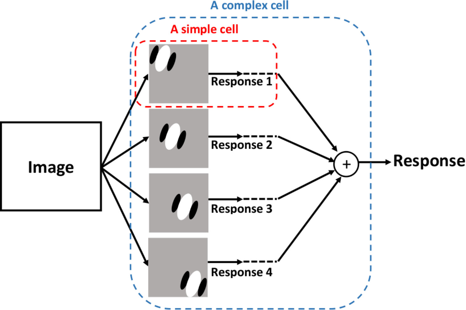 Figure 35