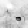 Figure 30