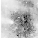 Figure 35
