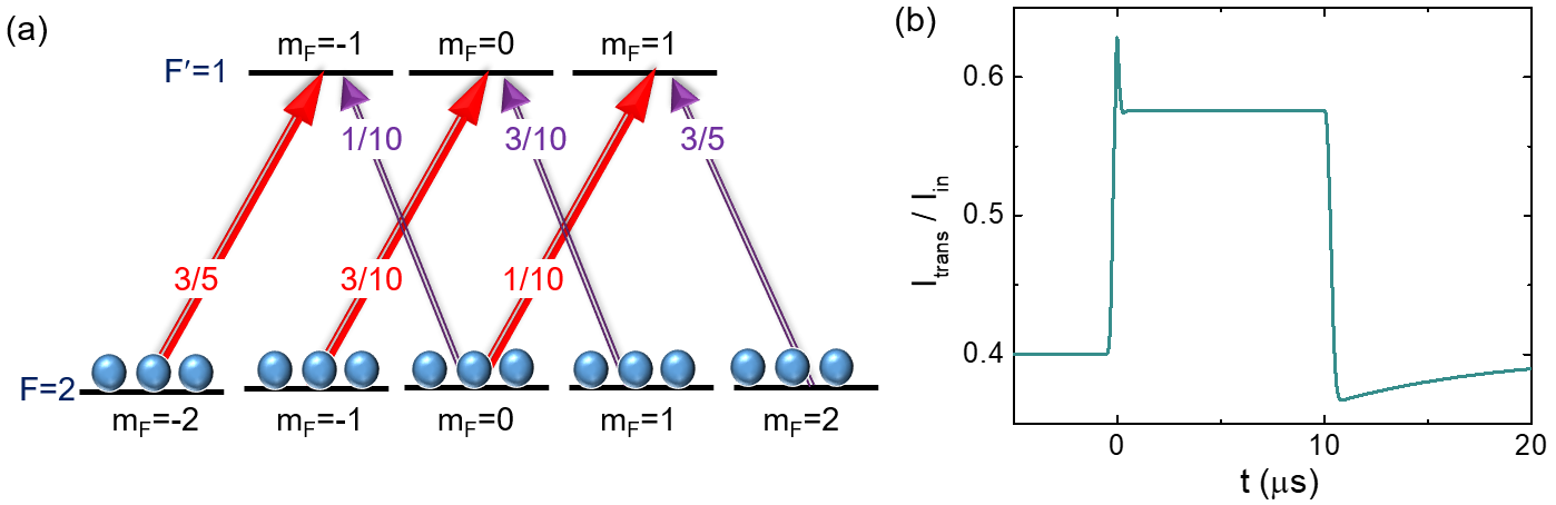 Figure 8