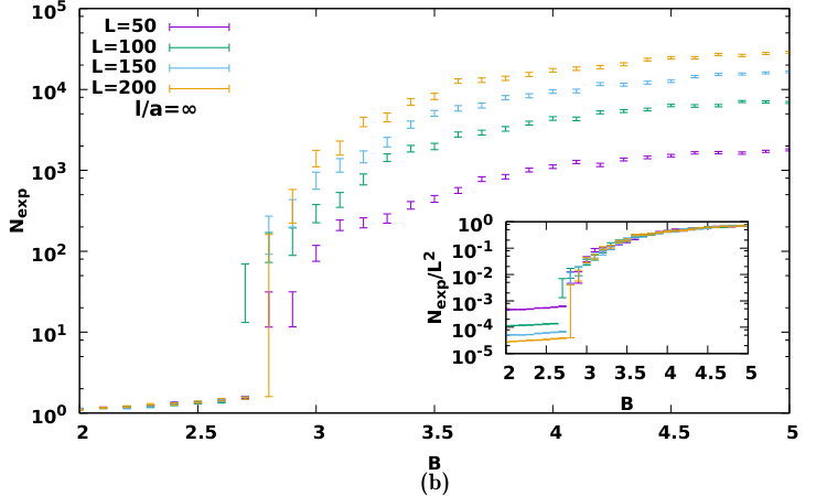 Figure 20