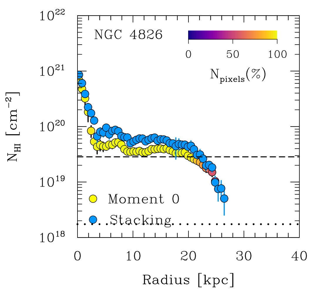Figure 24