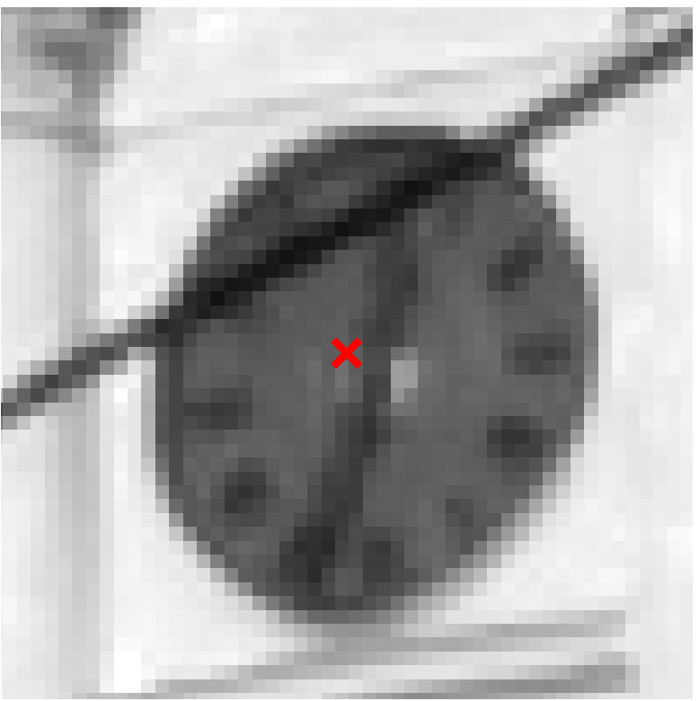 Figure 17