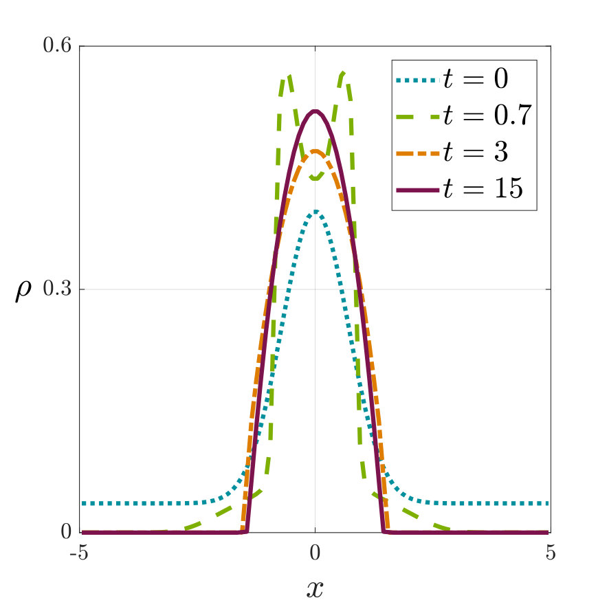 Figure 8