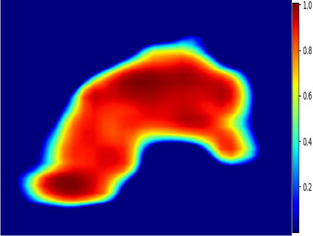 Figure 20