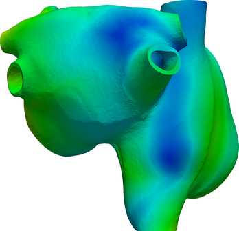 Figure 29