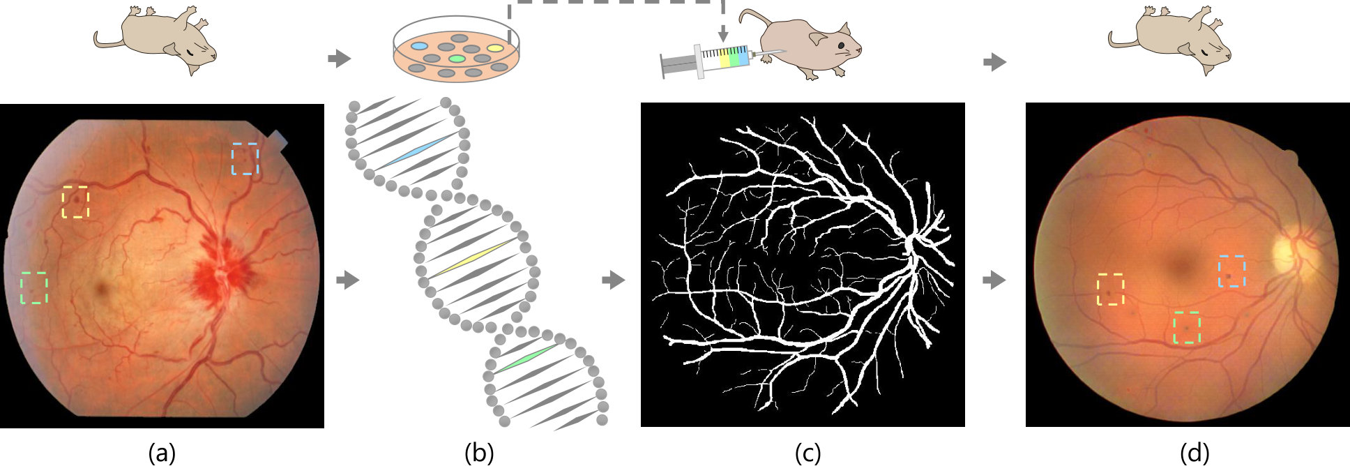 Figure 7