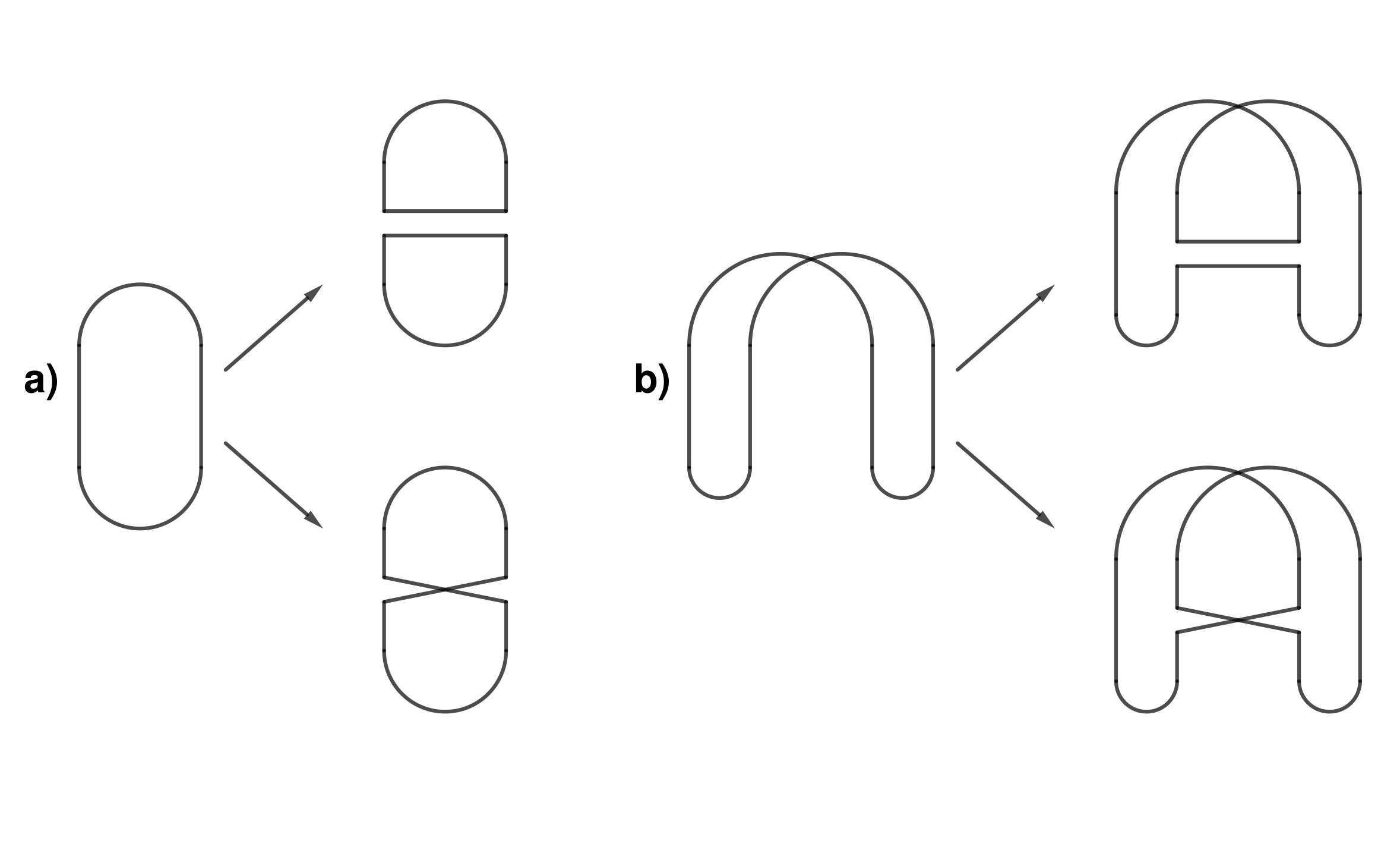 Figure 27