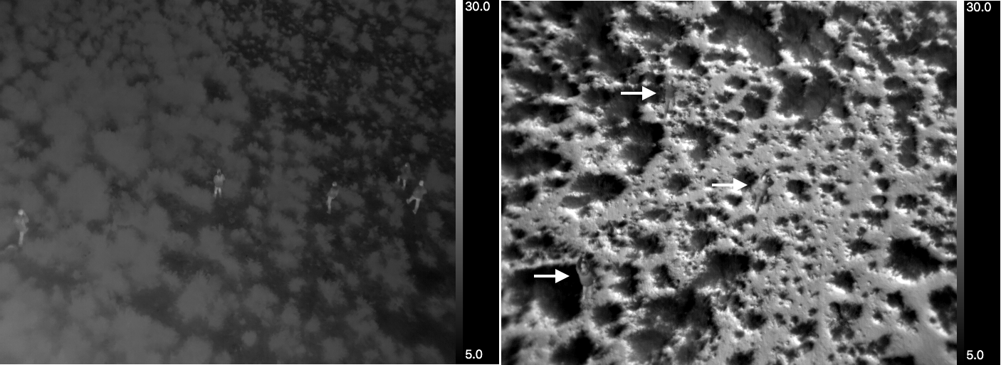 Figure 19