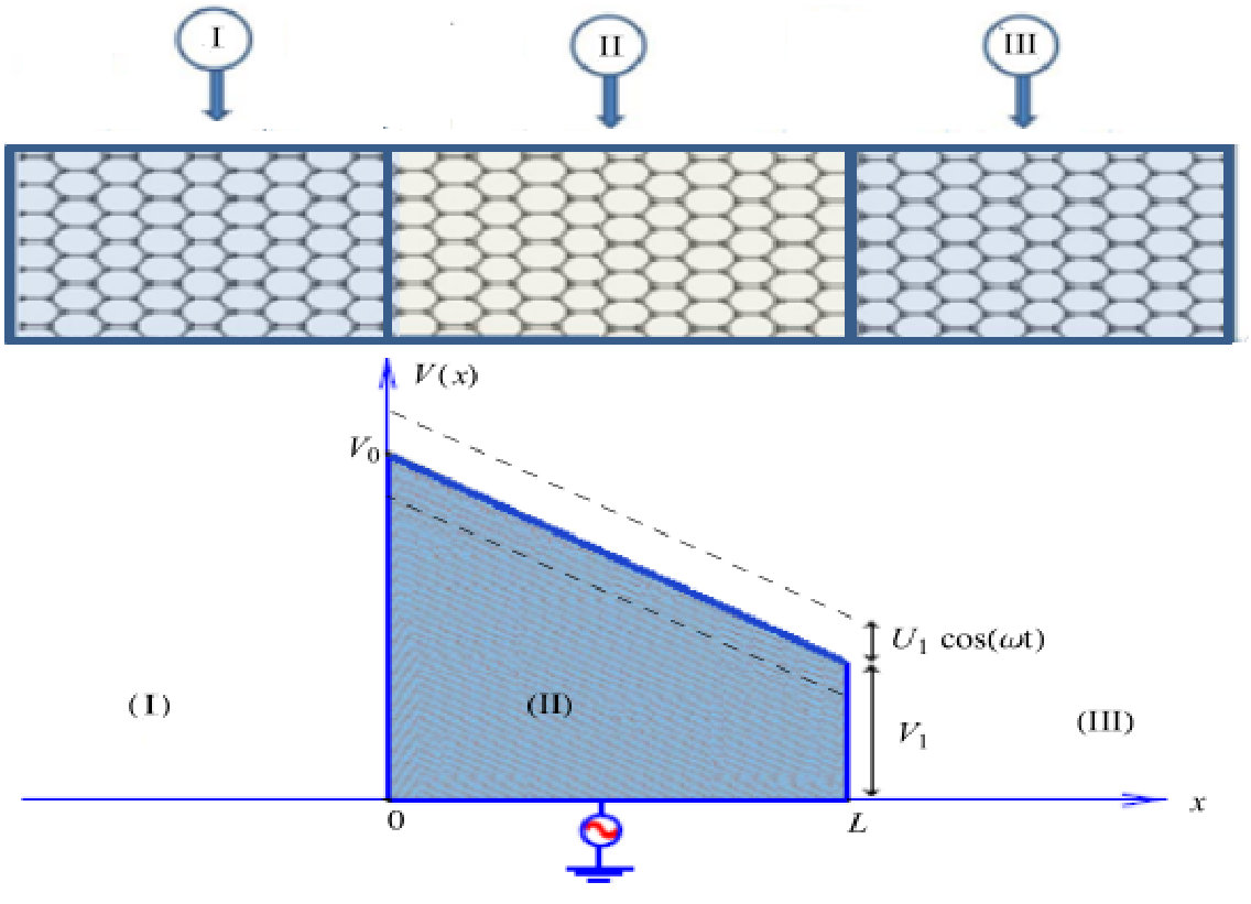Figure 20