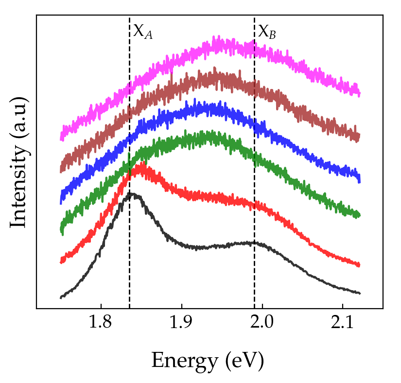 Figure 12