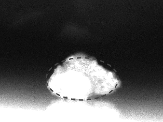 Figure 24