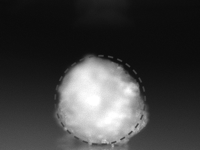 Figure 25