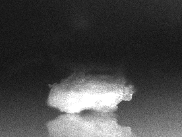 Figure 30