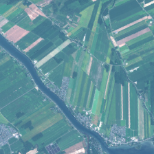 Figure 30