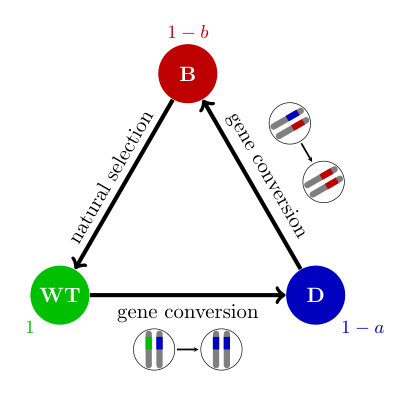 Figure 18