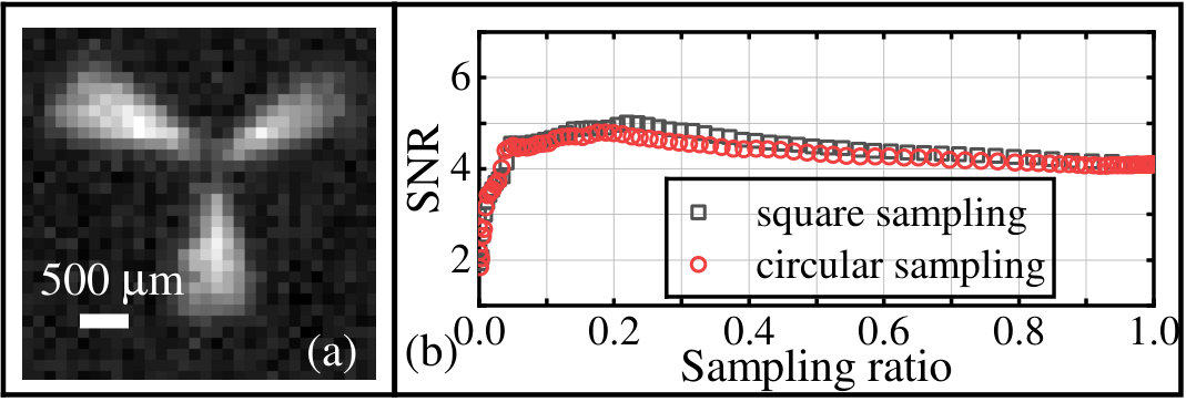 Figure 8