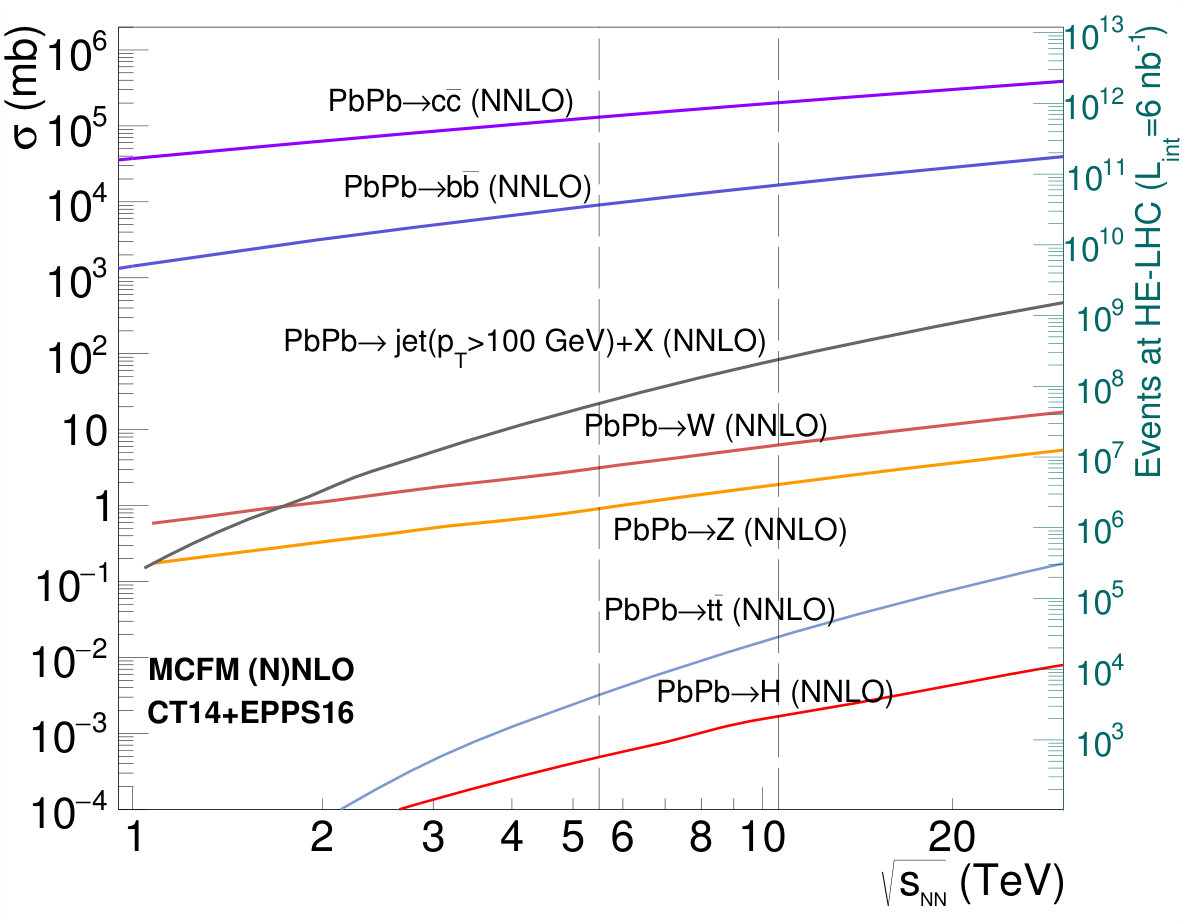 Figure 31