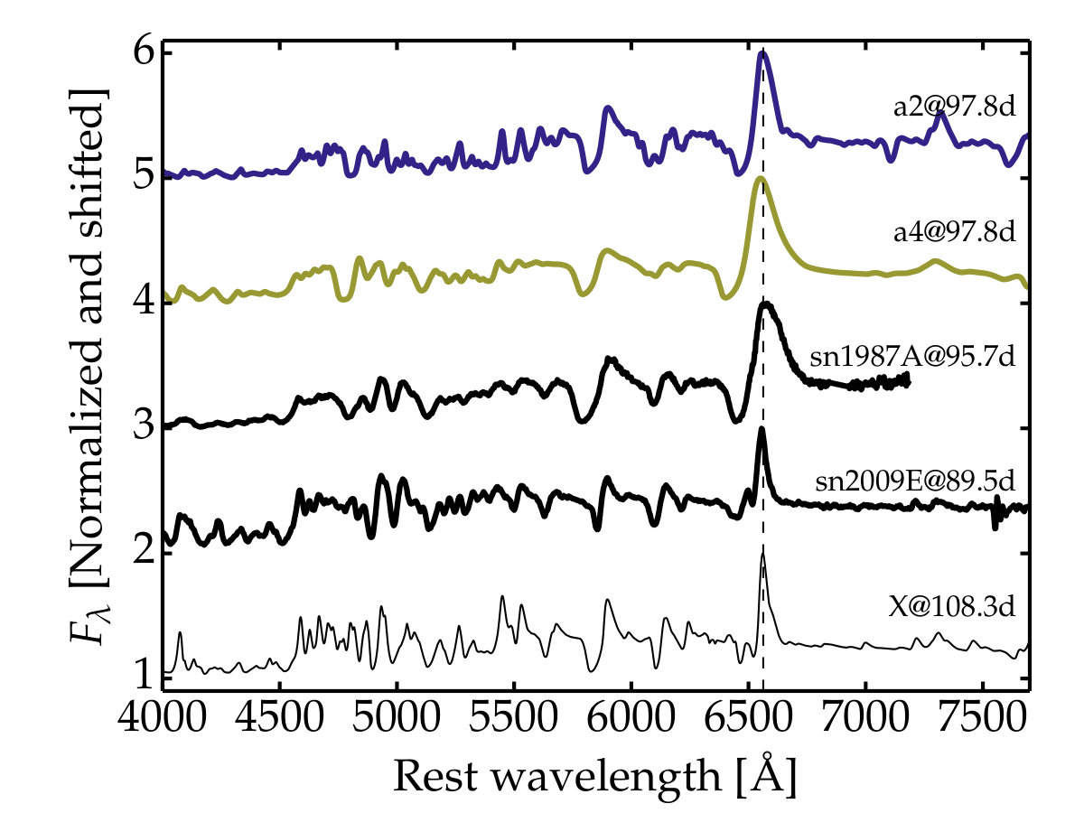 Figure 13