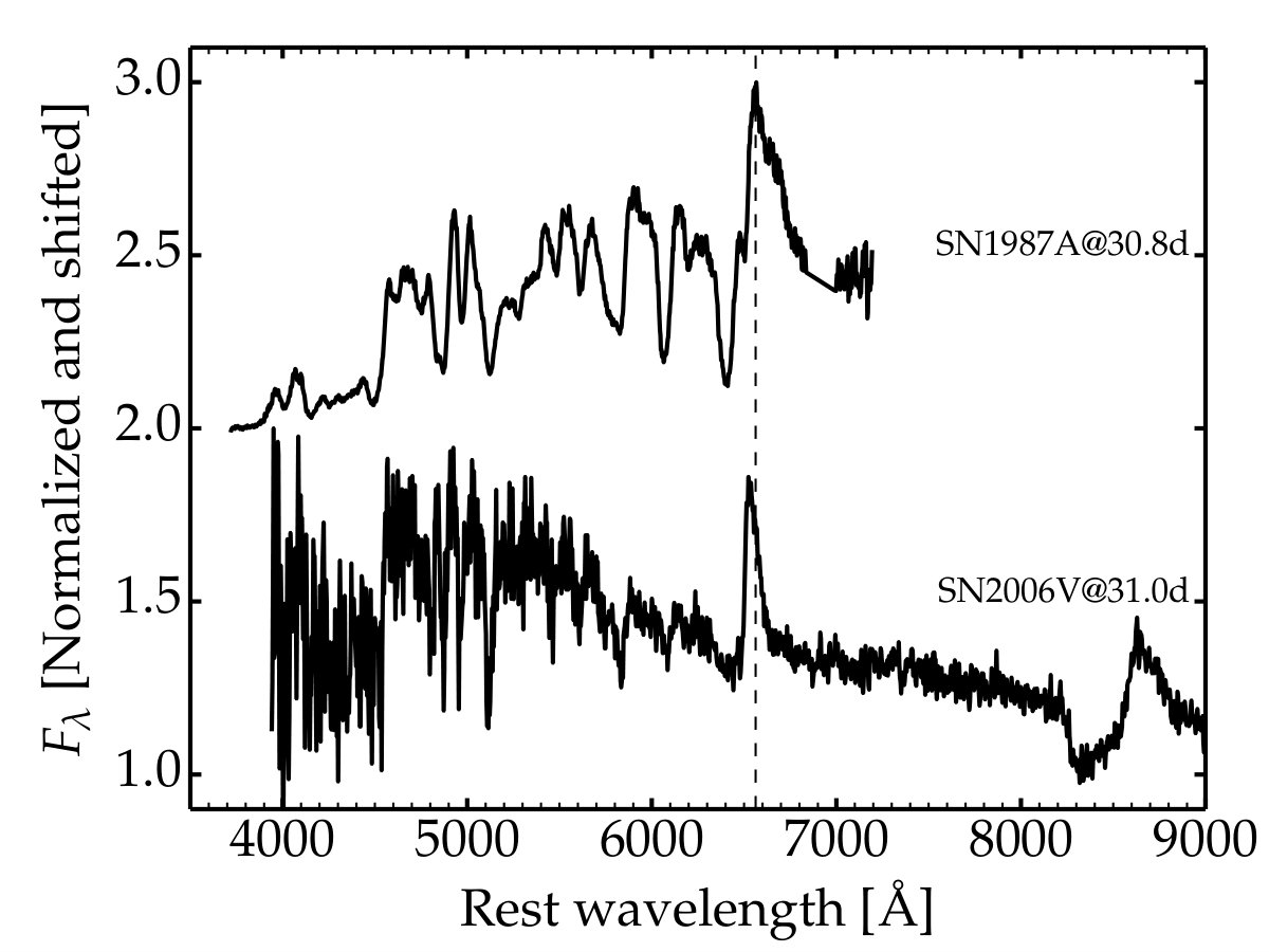 Figure 16