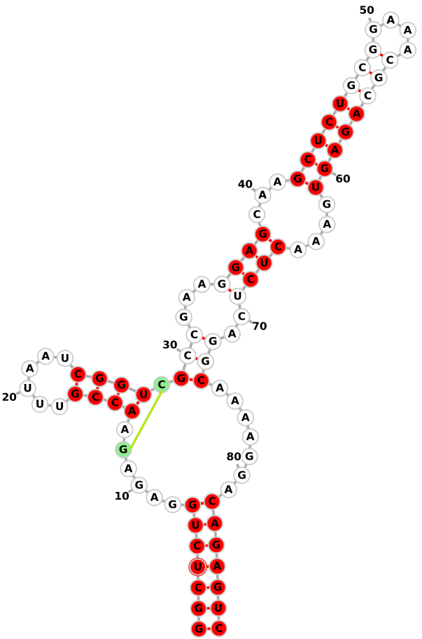 Figure 13