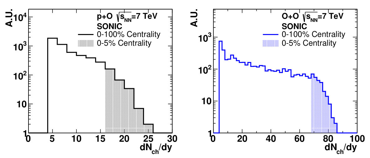 Figure 19