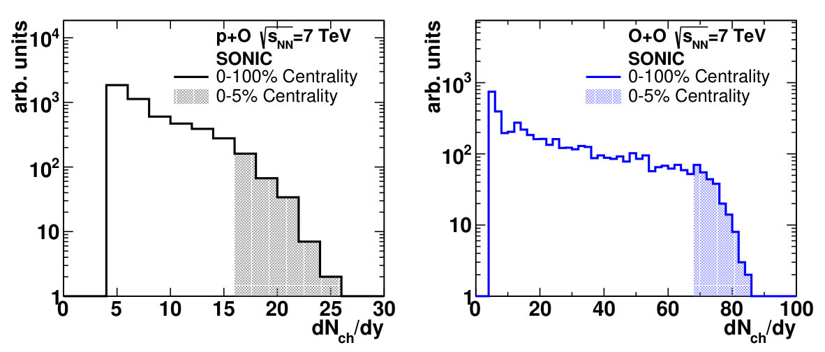 Figure 20
