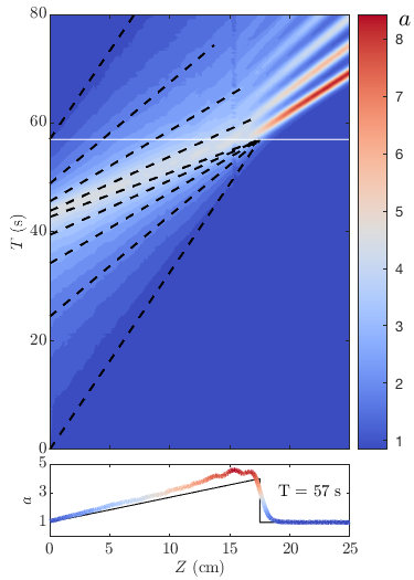 Figure 20