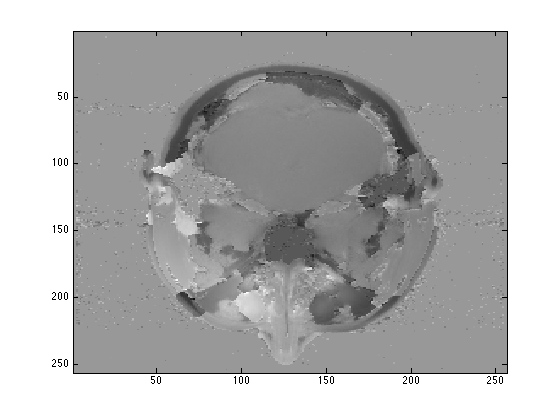Figure 31