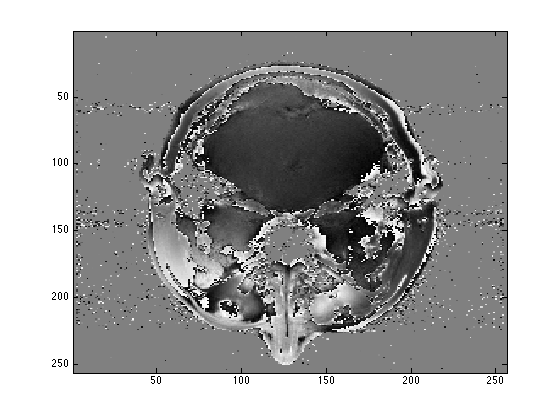Figure 33