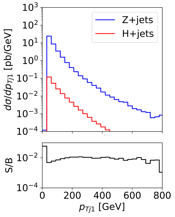 Figure 19