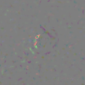 Figure 22