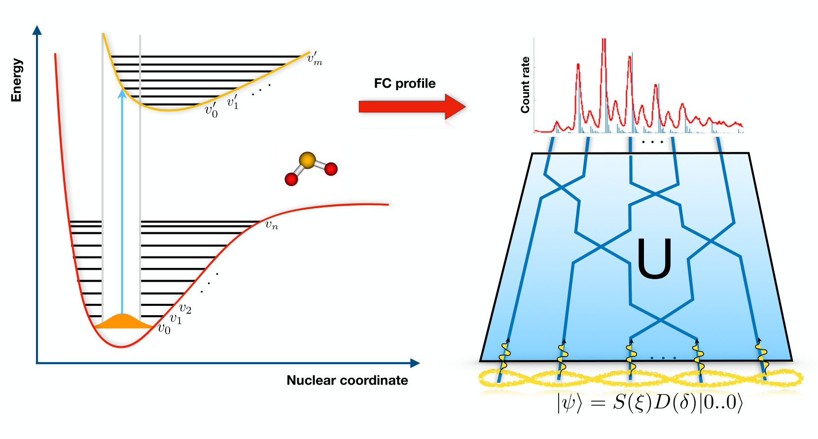 Figure 28
