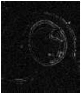 Figure 22