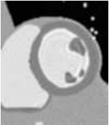 Figure 24